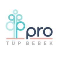 prj-tup-bebek-logo