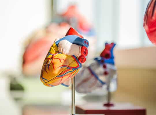 Risk Factors for Heart Diseases